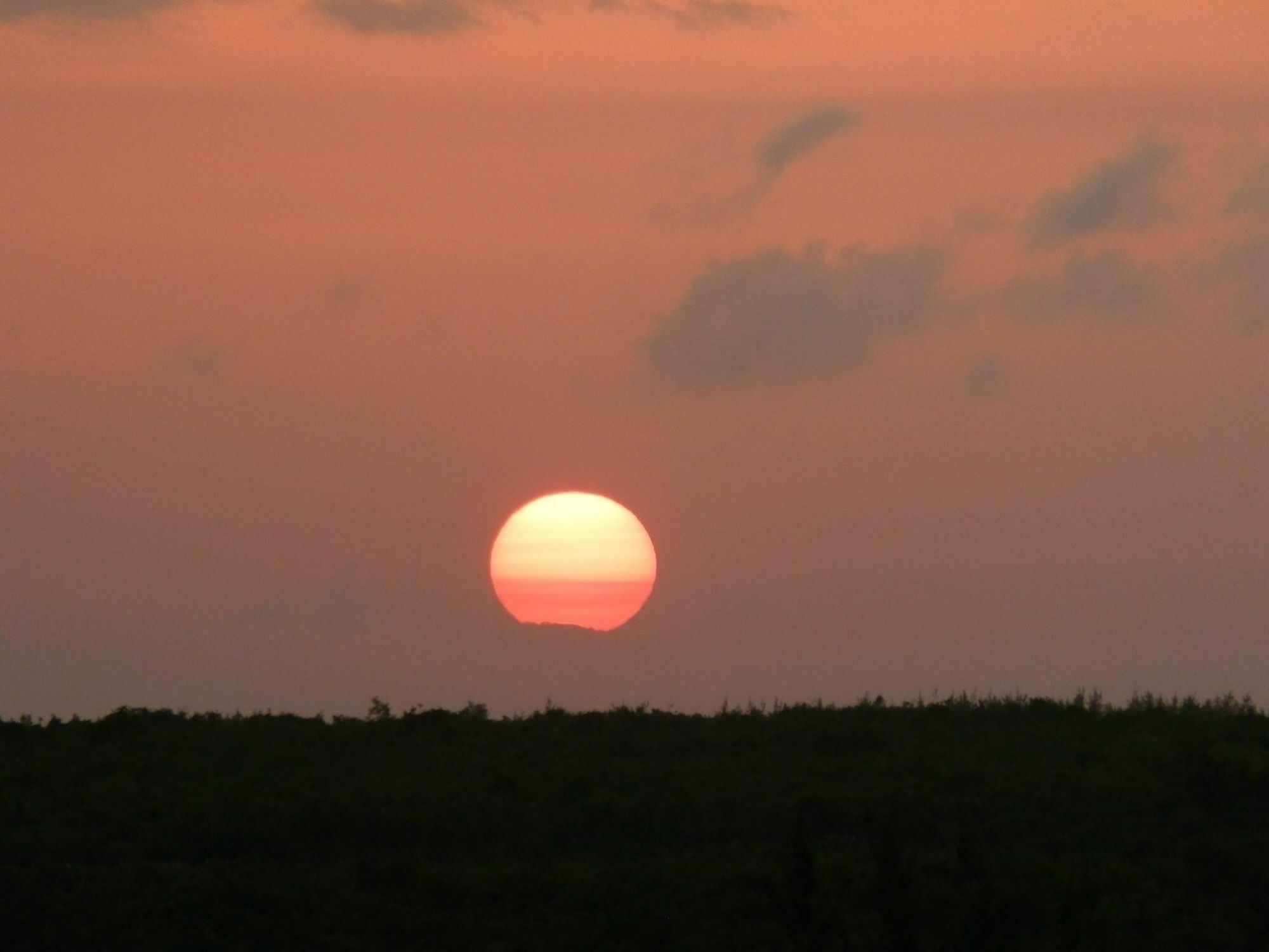 Mfumbwi Lodge Джамбиани Екстериор снимка